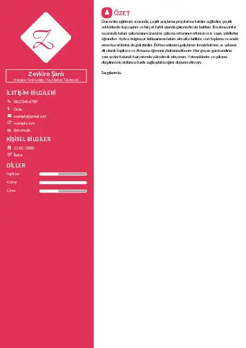 Hasta ve Yaşlı Bakım Elemanı Cv Örnekleri cv indir